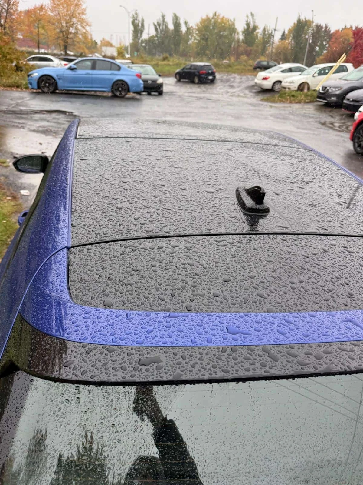 VW Golf * Black Edition * CARFAX * KEYLESS *  | Mobile.bg � ����������� 15