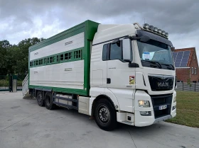Man Tgx 460  | Mobile.bg    3