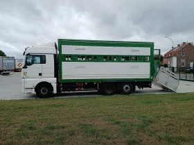 Man Tgx 460  | Mobile.bg    4