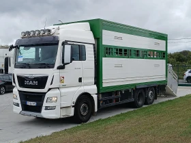  Man Tgx