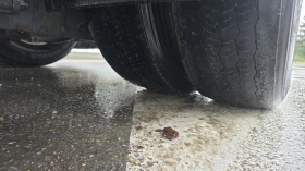 Daf FT XF 106  480 EURO 6    | Mobile.bg    17