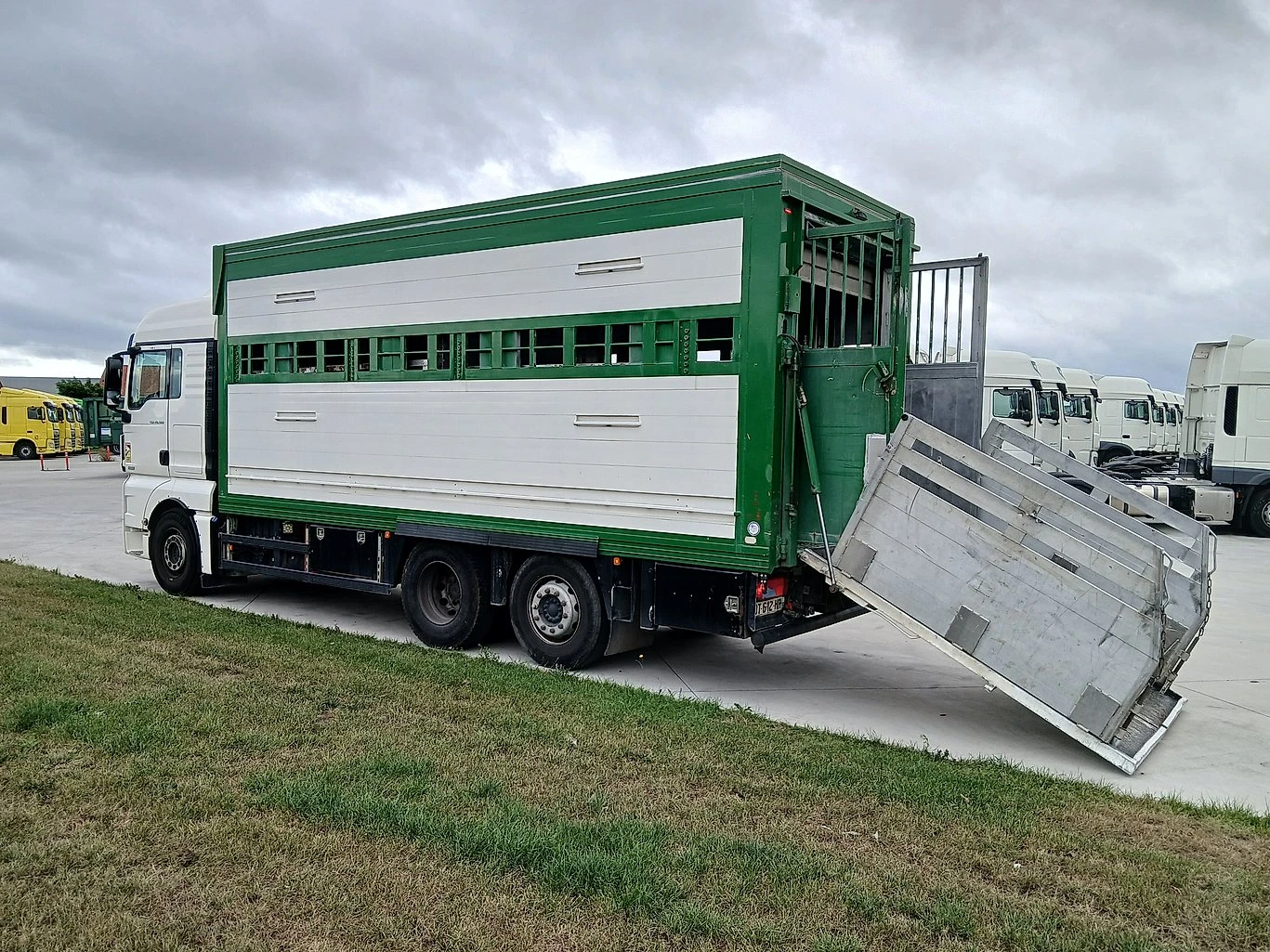 Man Tgx 460 ЖИВОТНОВОЗ - изображение 7