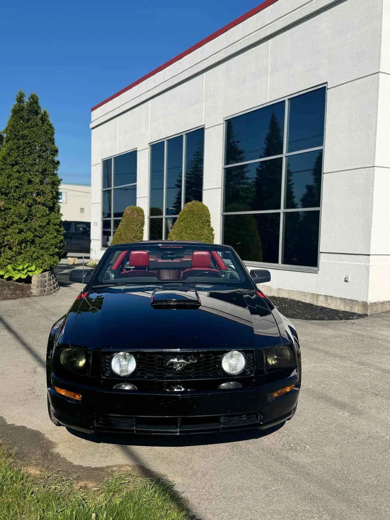Ford Mustang * GT * ���������� ��� ������������ ������*  | Mobile.bg � ����������� 6