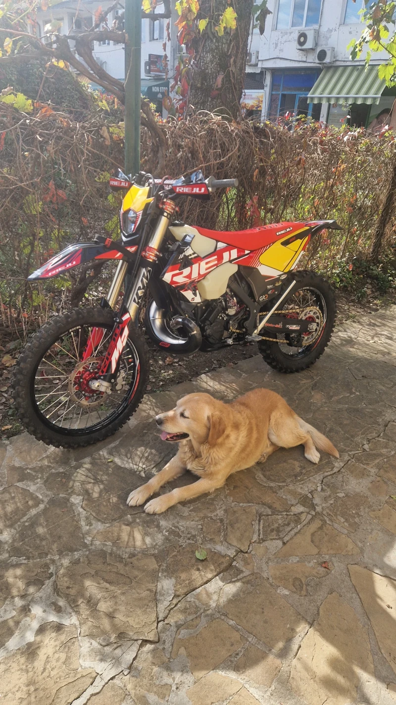 Rieju MR, снимка 2 - Мотоциклети и мототехника - 52551448