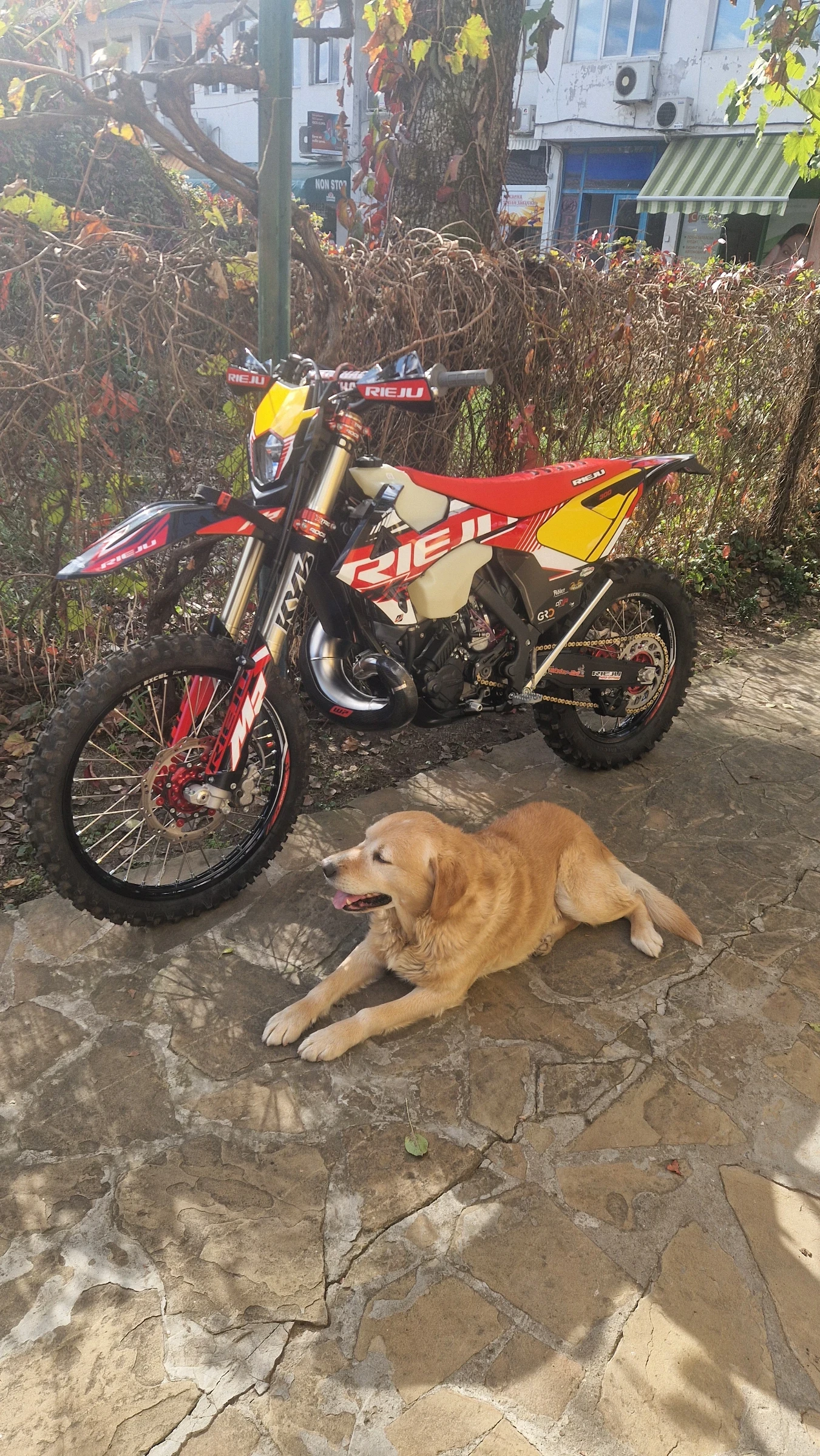 Rieju MR  - изображение 2