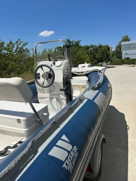         Tiger Marine