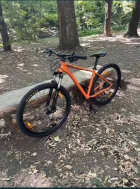      Trail 4