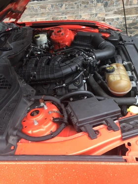 Ford Mustang 3.7 V6 - 20000 € / 39116.60 лв. - 13046823 8