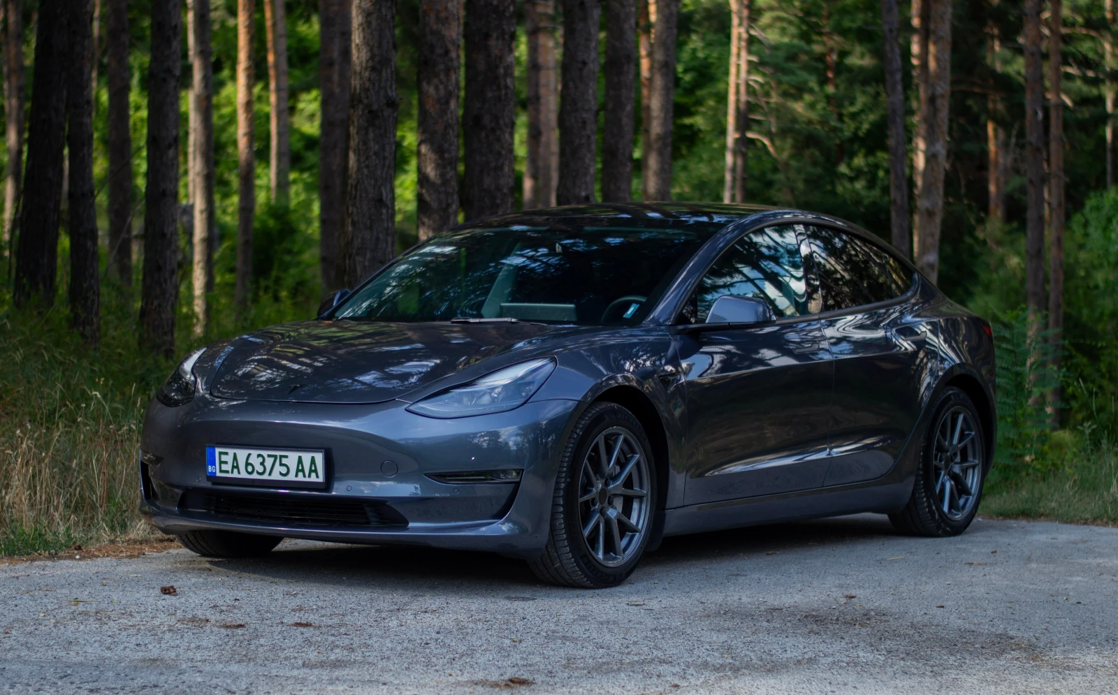 Tesla Model 3 LR  - изображение 2