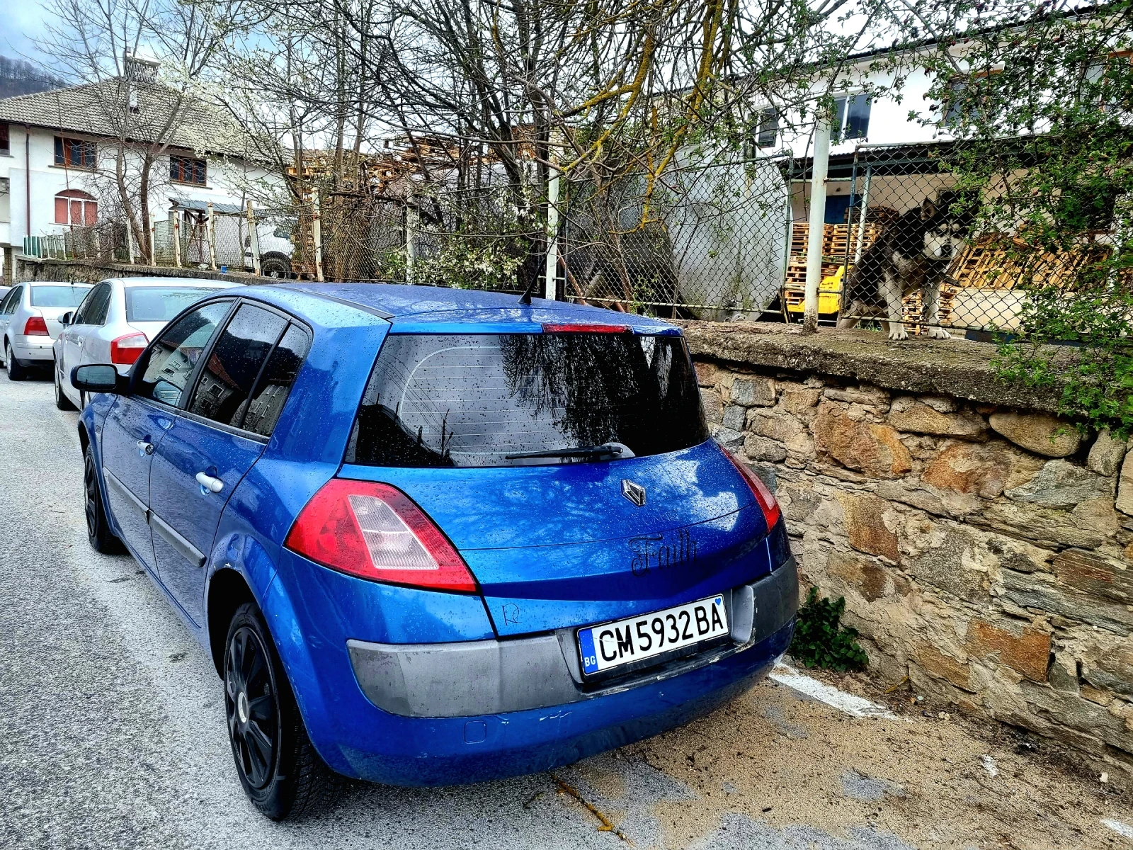Renault Megane 1.9 dci, снимка 2 - Автомобили и джипове - 54168264