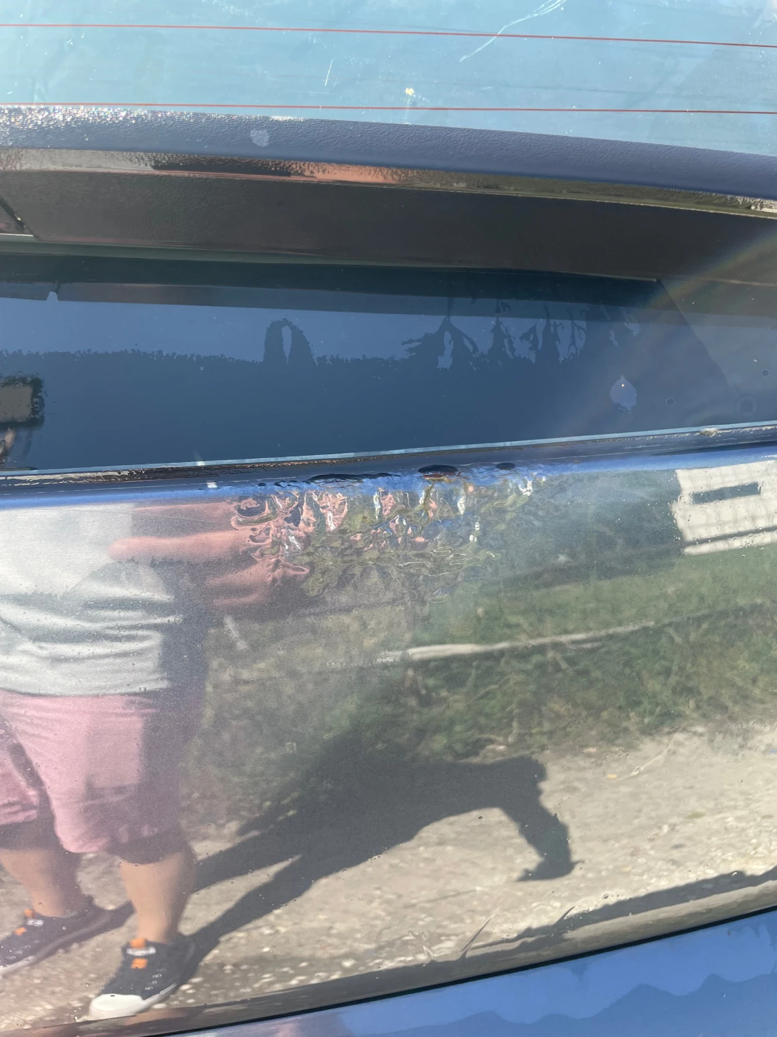 Opel Signum | Mobile.bg � ����������� 8