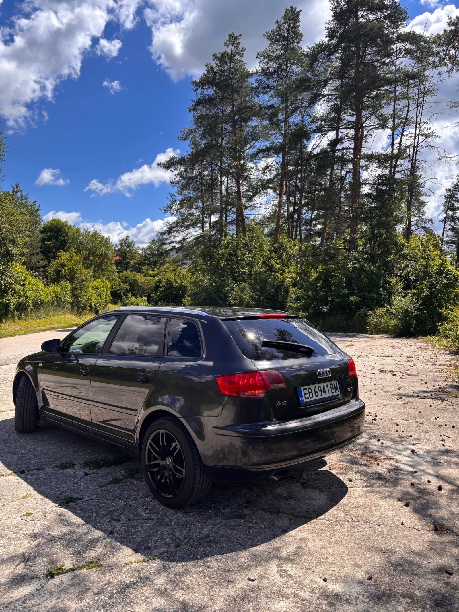 Audi A3 1.9 TDI, снимка 5 - Автомобили и джипове - 54899812