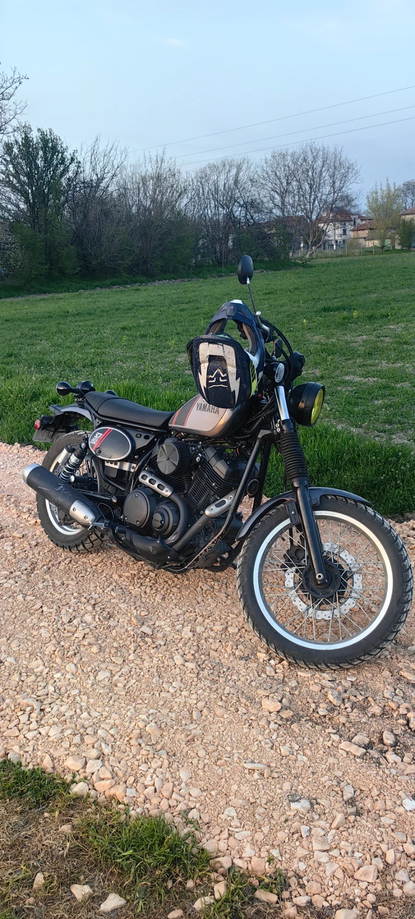 Yamaha Bolt SCR 950 