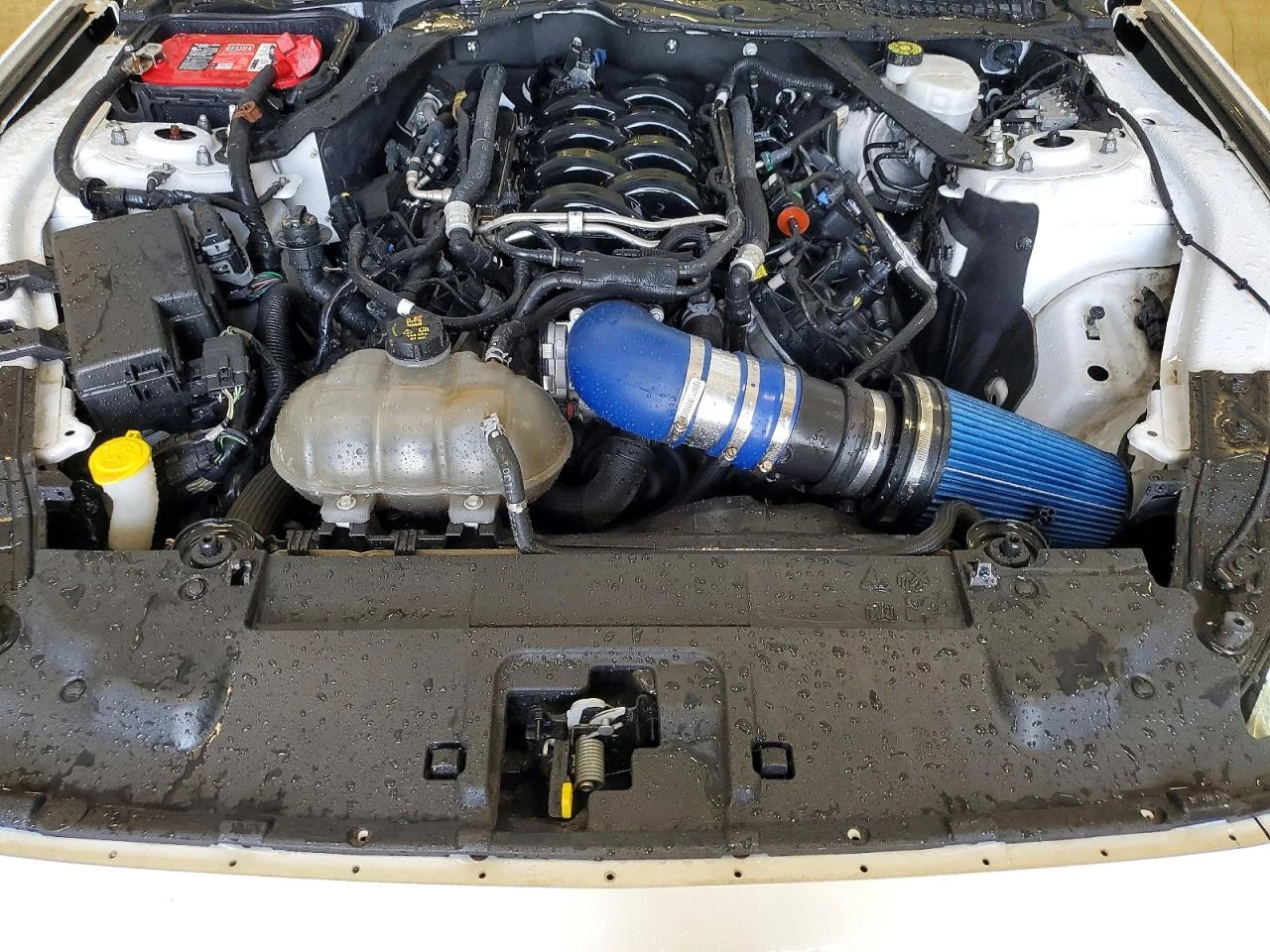 Ford Mustang 5.0l Gt, снимка 11 - Автомобили и джипове - 54103216