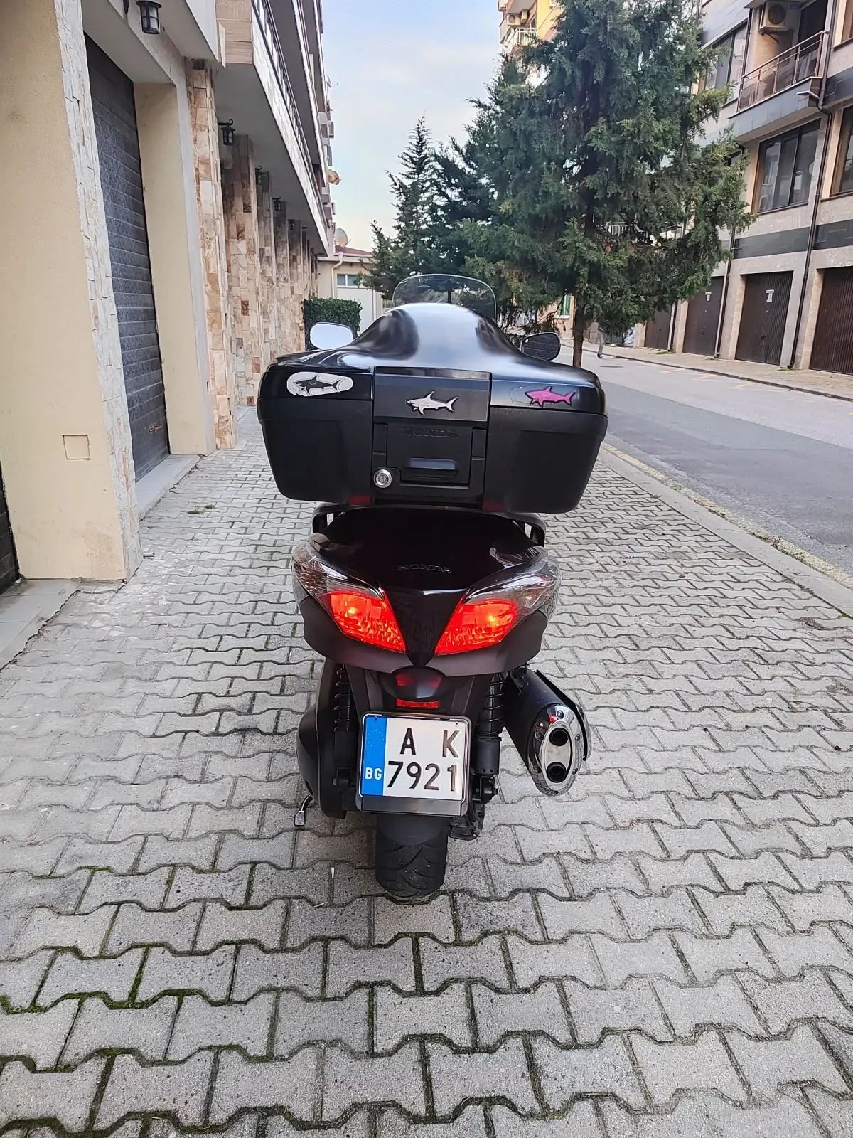 Honda Silver Wing  - изображение 5