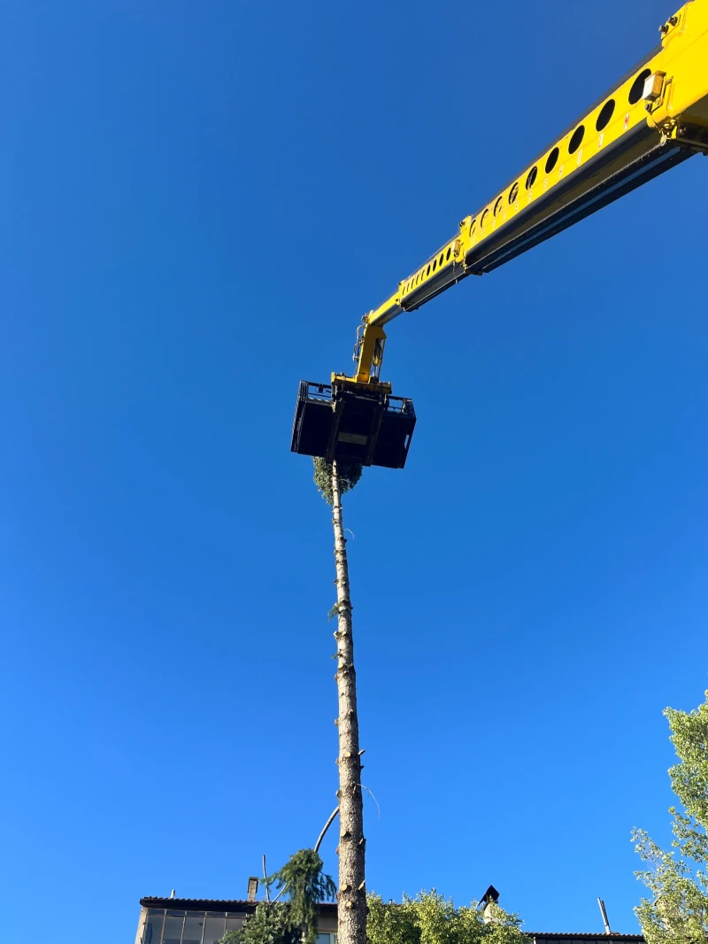 Телескопичен товарач Merlo MERLO 45.21, снимка 5 - Селскостопанска техника - 51317490