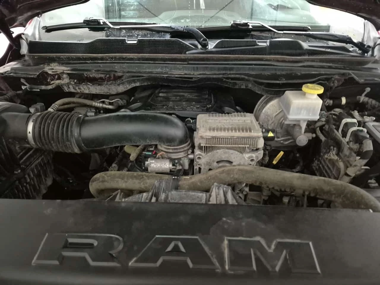 Dodge RAM 1500 * LIMITED LONGHORN CREW CAB SHORT BED * CARFAX *  | Mobile.bg � ����������� 15