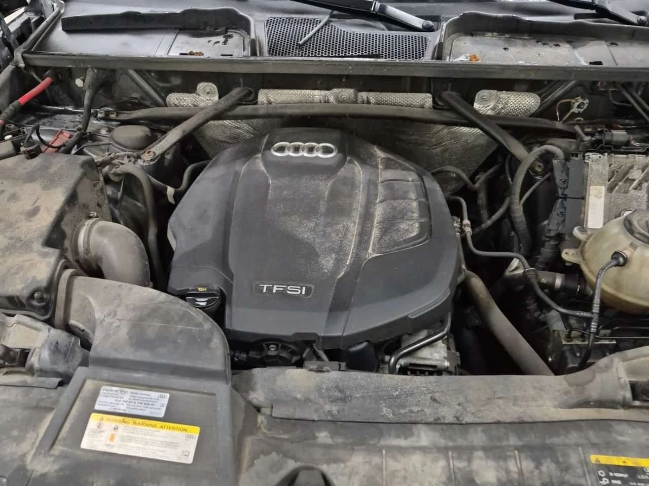 Audi Q5 * 45 Tfsi Quattro Progressiv * CARFAX *  | Mobile.bg � ����������� 17