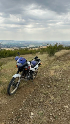     Honda Nx 650 Dominator