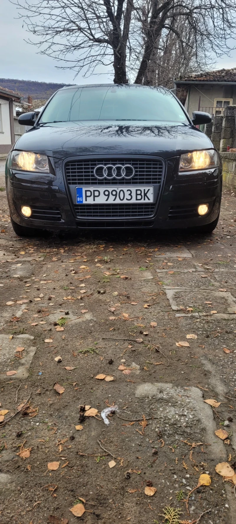 Audi A3 2.0TDI, снимка 3 - Автомобили и джипове - 49026107