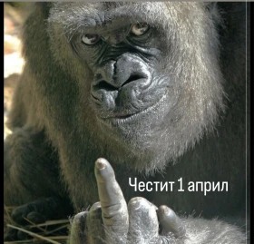 BMW 525, снимка 2