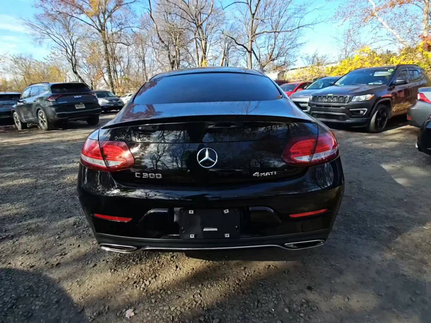 Mercedes-Benz C 300 * COUPE* * PANO* AMBIENT* BURMERSTER*  | Mobile.bg   3