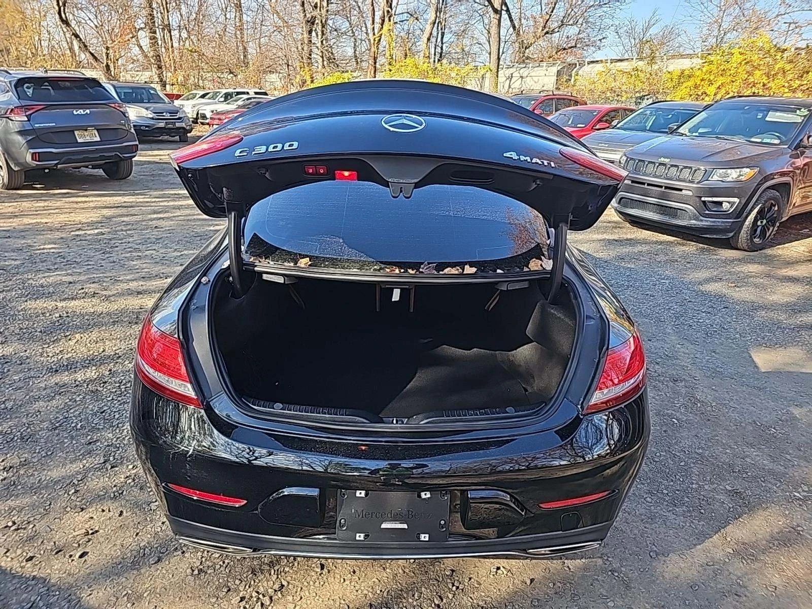 Mercedes-Benz C 300 * COUPE* * PANO* AMBIENT* BURMERSTER*  | Mobile.bg   10