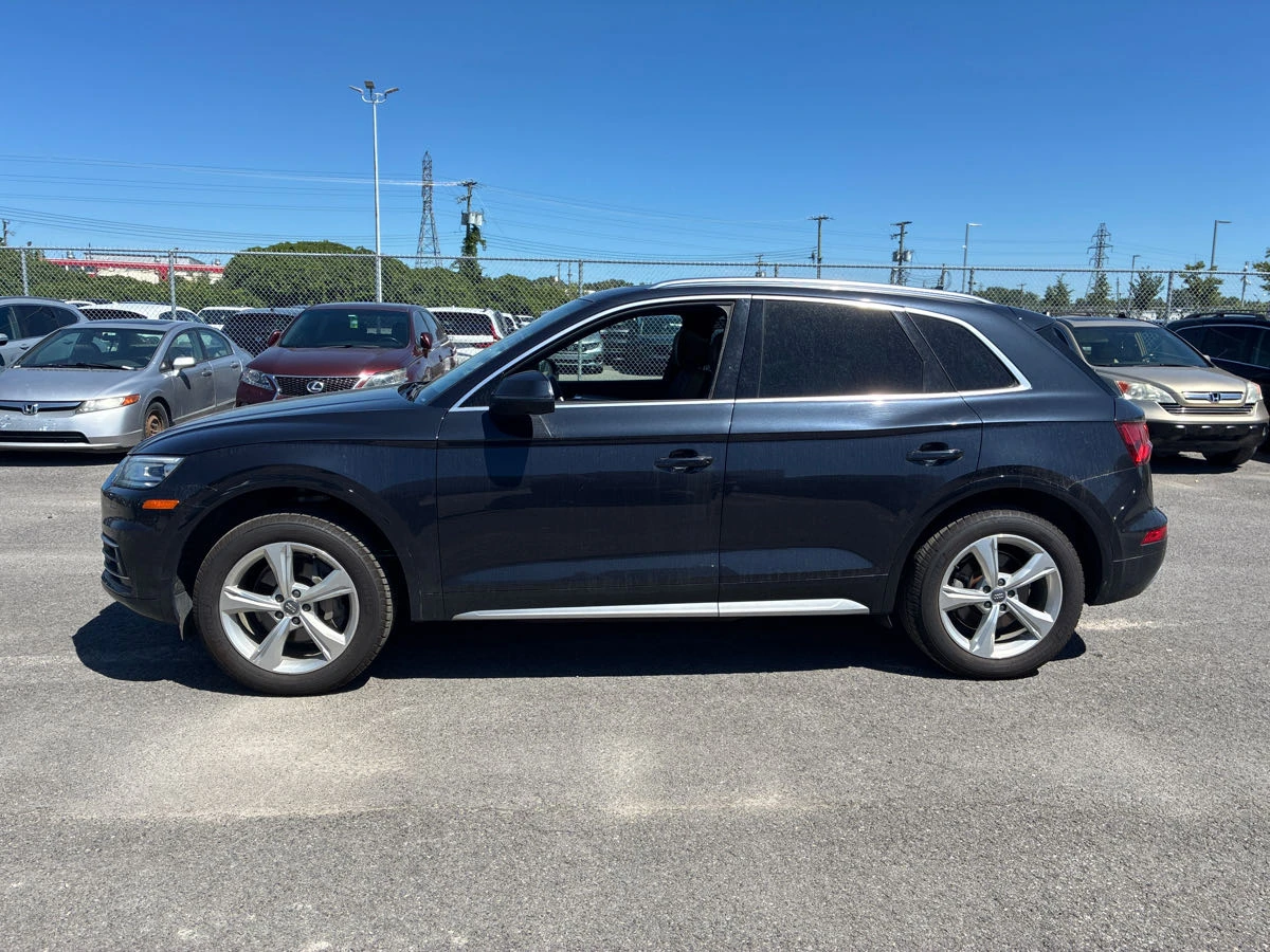 Audi Q5 Progressiv* CARFAX*  - изображение 3