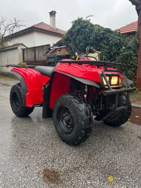     Yamaha Big Bear Yamaha Bear Tracker