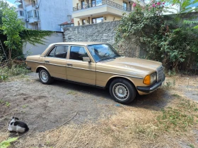 Mercedes-Benz 123 250D, снимка 2
