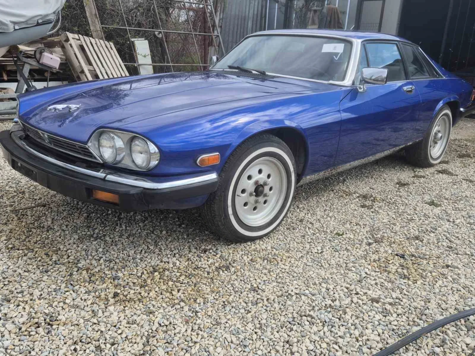 Jaguar Xjs V12