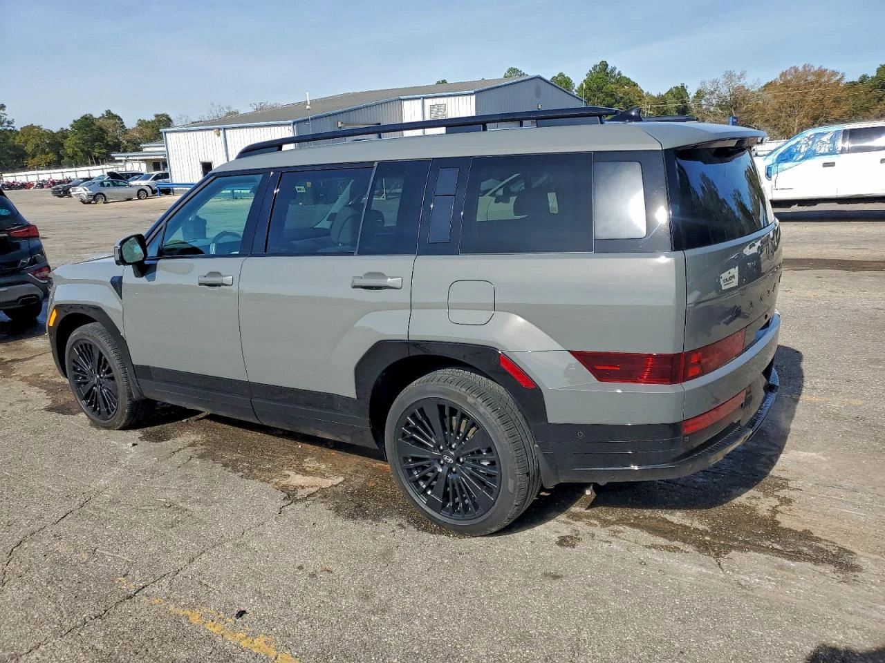 Hyundai Santa fe 1.6l Calligraphy - изображение 2