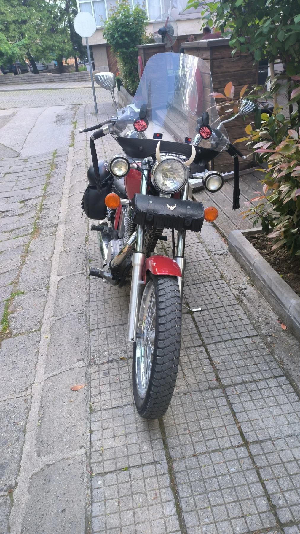 Suzuki LS Savage - изображение 3