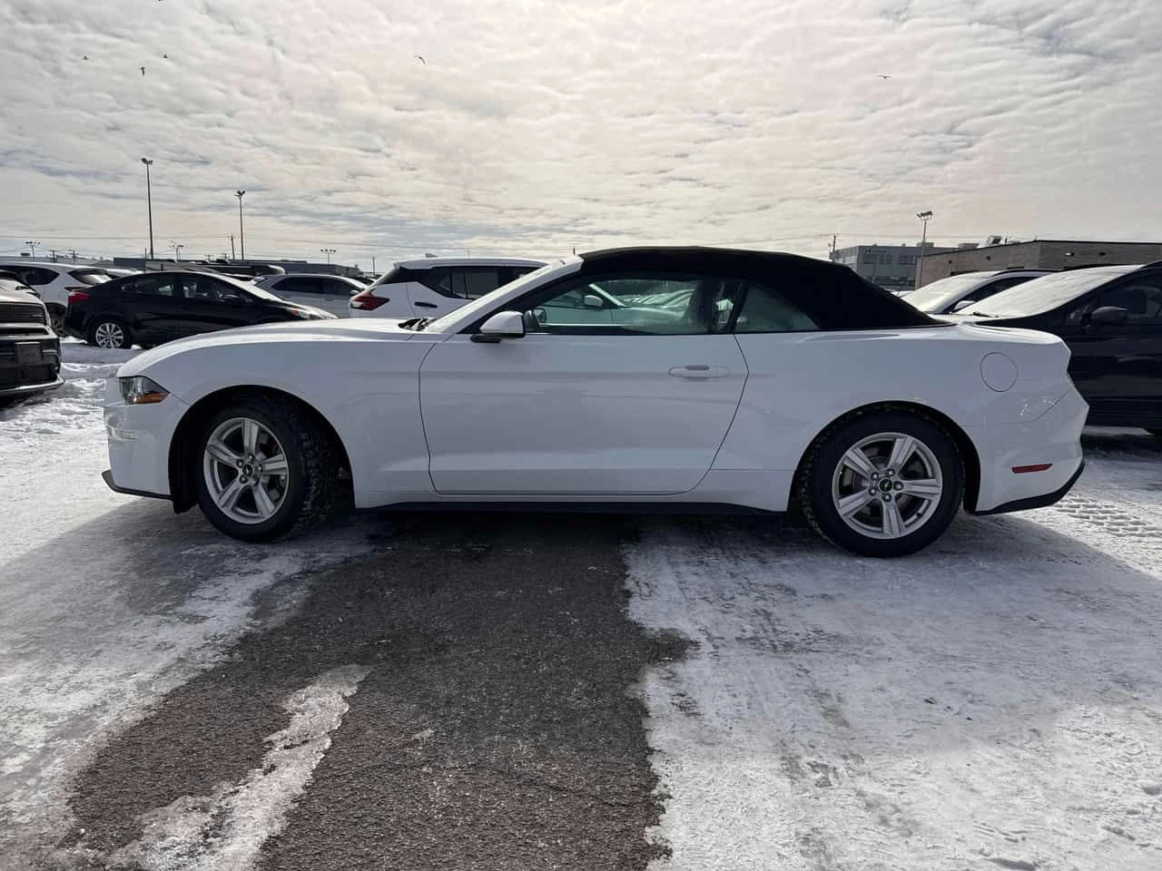 Ford Mustang * EcoBoost * CARFAX * ���� �� �� | Mobile.bg � ����������� 13