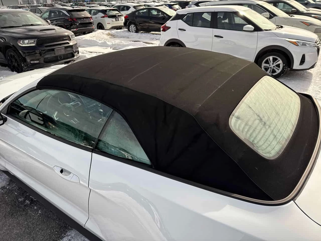 Ford Mustang * EcoBoost * CARFAX * ЦЕНА ДО БГ - изображение 10