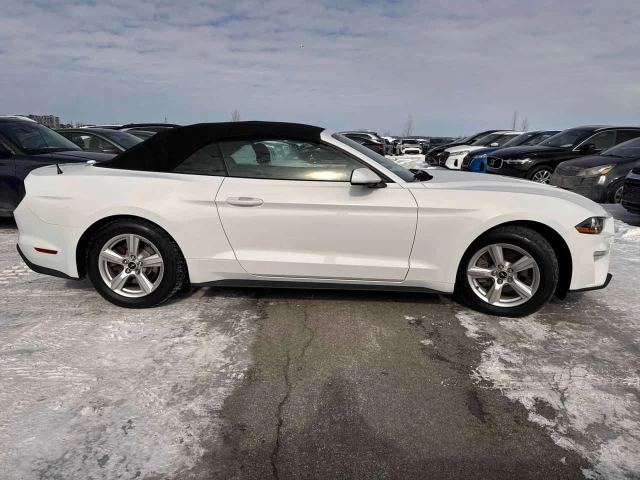 Ford Mustang * EcoBoost * CARFAX * ЦЕНА ДО БГ - изображение 3