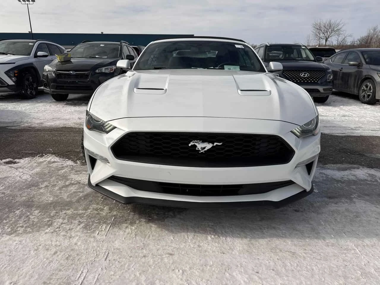 Ford Mustang * EcoBoost * CARFAX * ЦЕНА ДО БГ - изображение 4