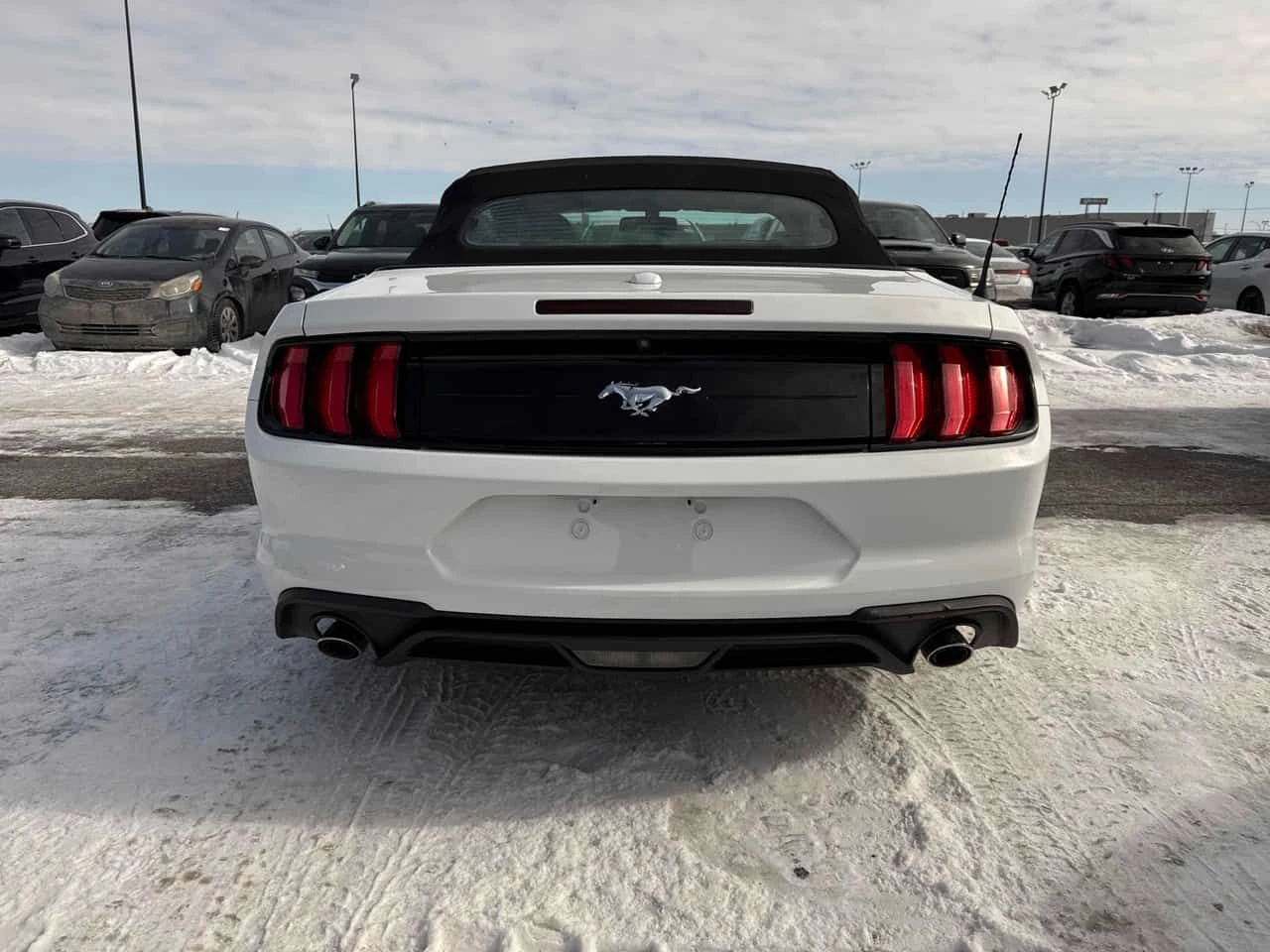 Ford Mustang * EcoBoost * CARFAX * ЦЕНА ДО БГ - изображение 5