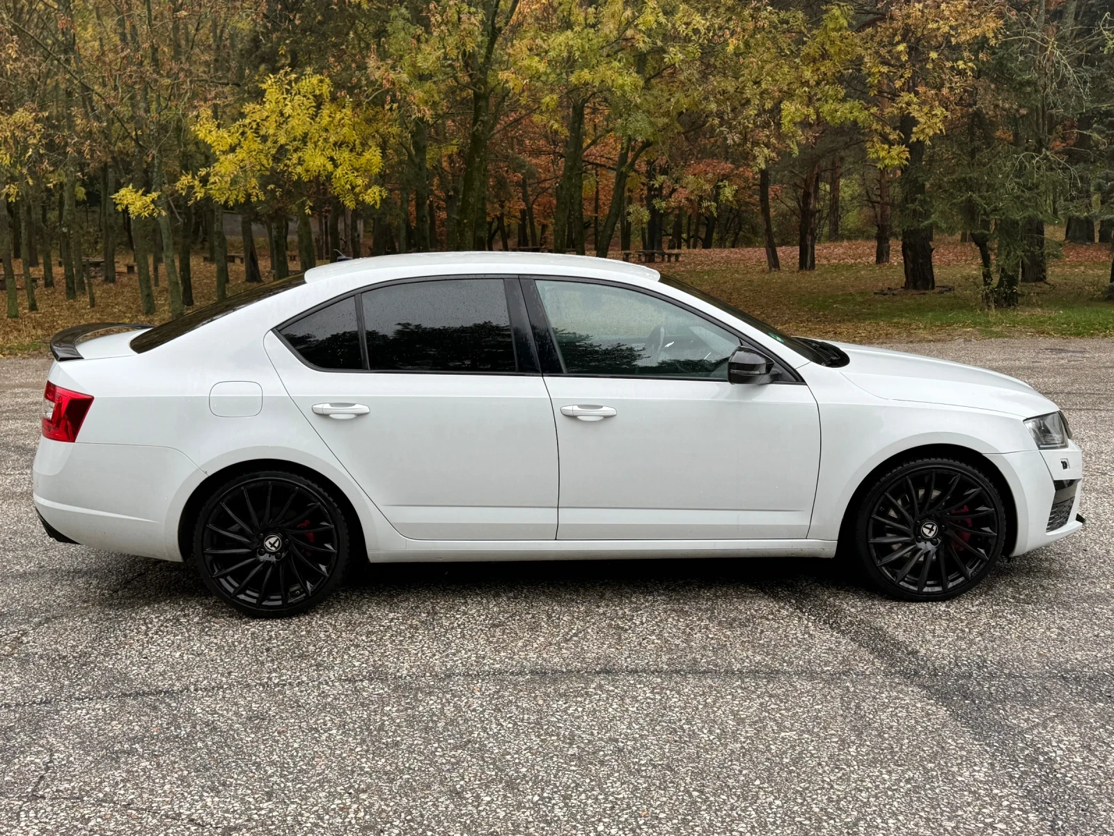 Skoda Octavia 2.0TSi VRS Challenge, снимка 6 - Автомобили и джипове - 56738793