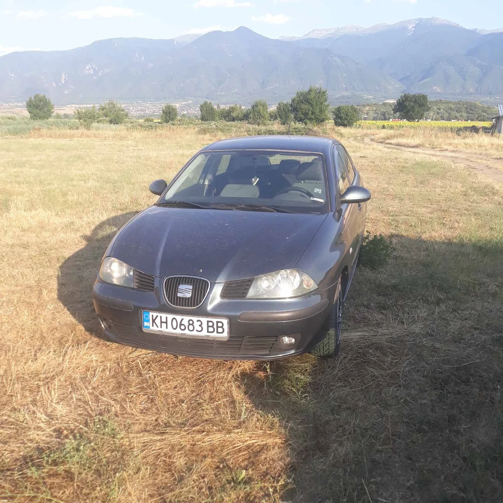 Seat Ibiza  - изображение 6