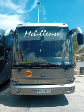 BMC 250SLF Probus, снимка 2 - Бусове и автобуси - 45453438