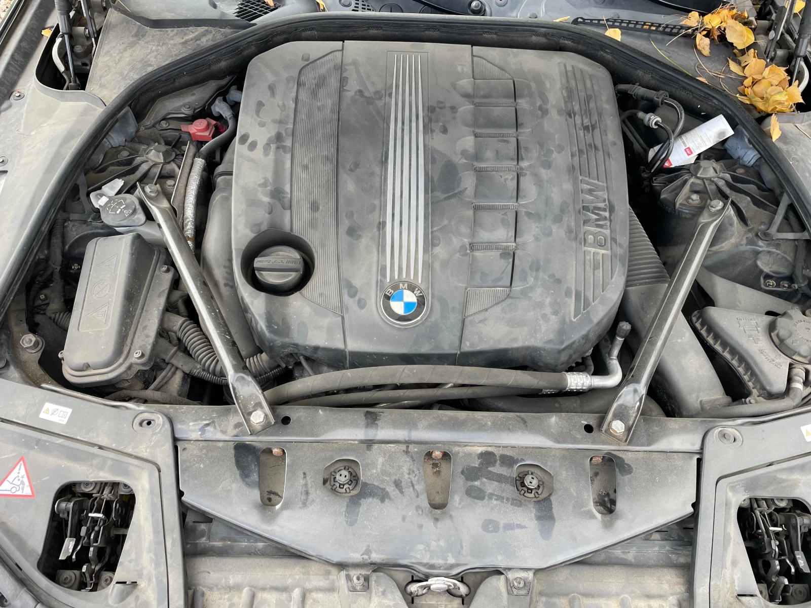 BMW 525 N57D30 - изображение 5