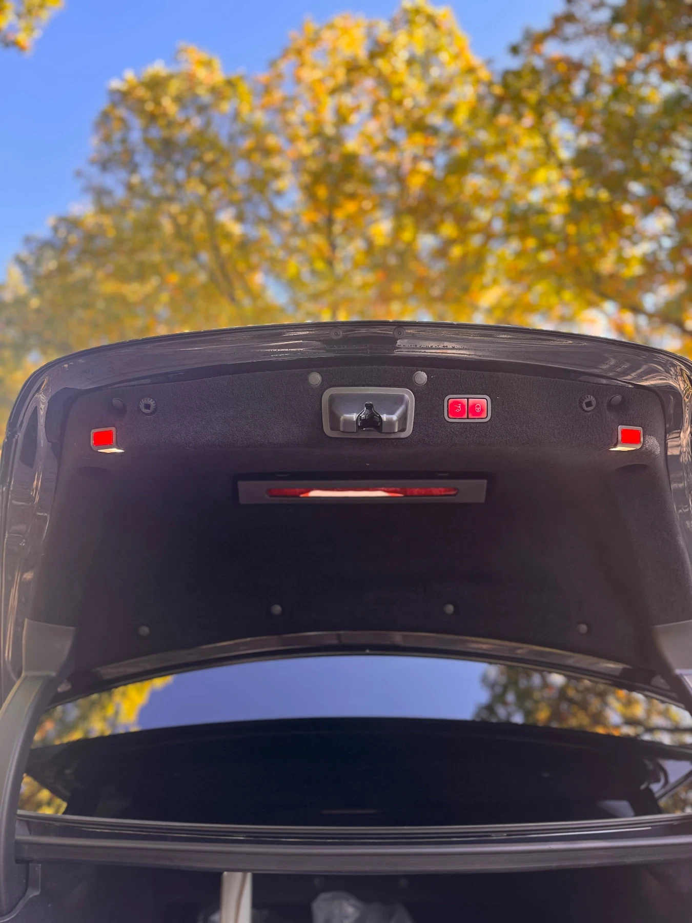 Mercedes-Benz S 350 Designo Edition 1 ������!! | Mobile.bg � ����������� 11