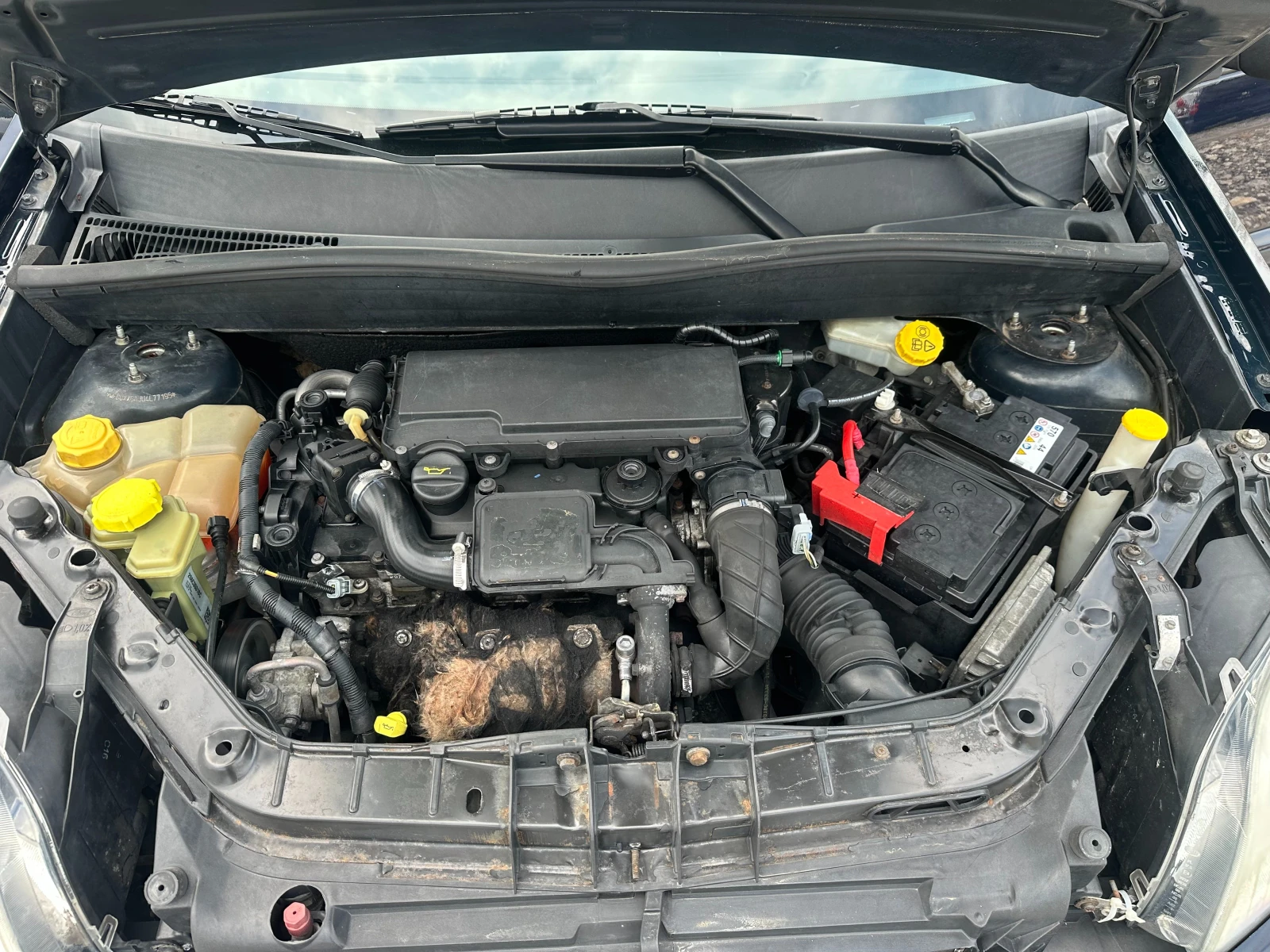 Ford Fusion 1, 4HDI 75kc, снимка 17 - Автомобили и джипове - 54163701