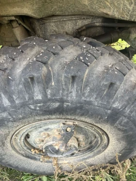 Ural Crone, снимка 6