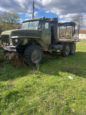 Ural Crone, снимка 1