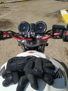 Honda Hornet CB 900 Hornet, снимка 8