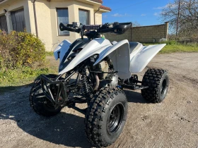 Yamaha Raptor 350, снимка 1