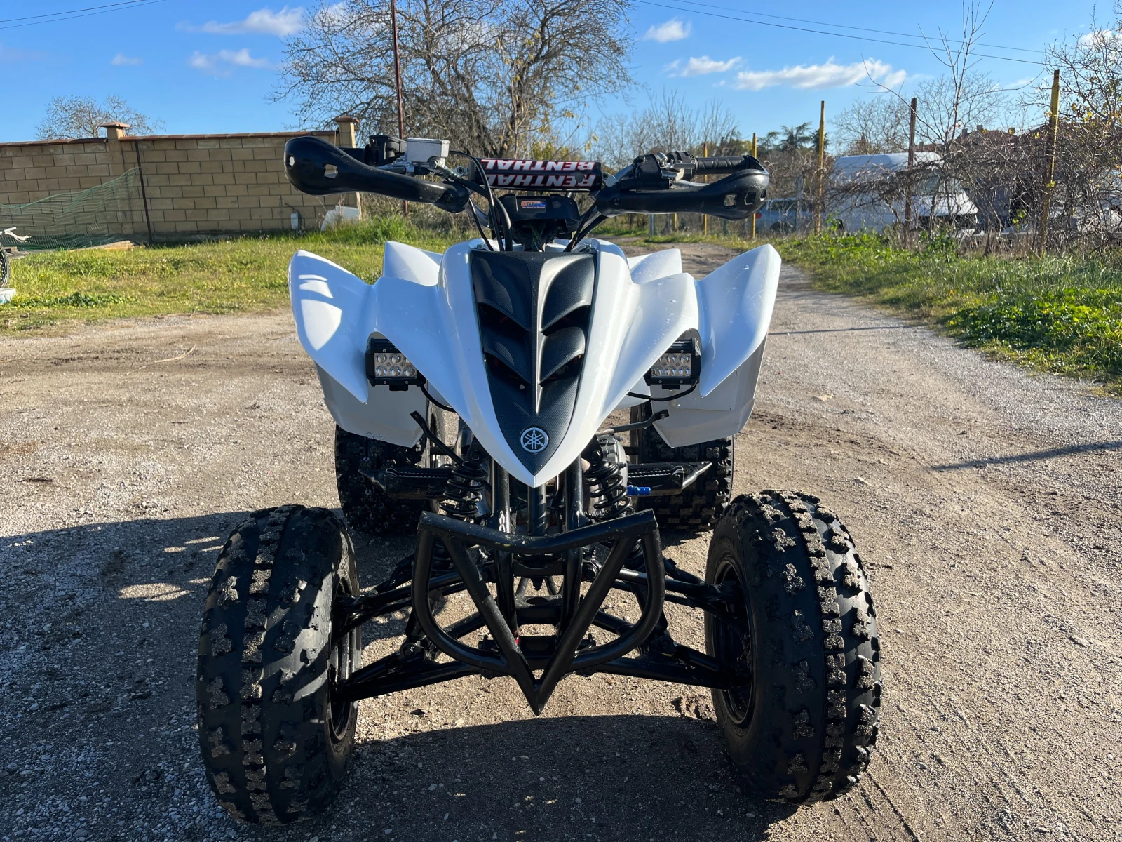 Yamaha Raptor 350 - изображение 2