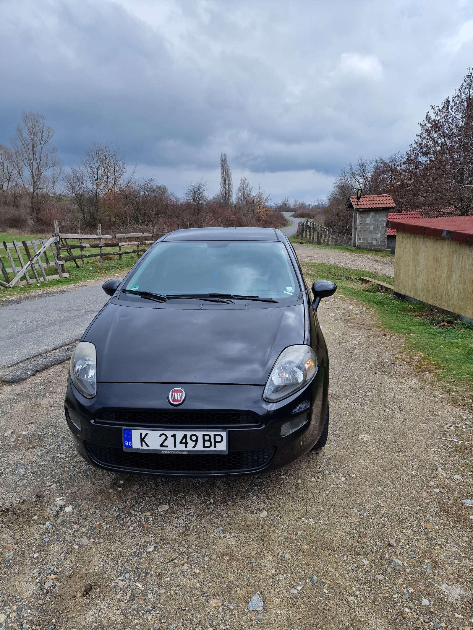 Fiat Punto Evo - изображение 1
